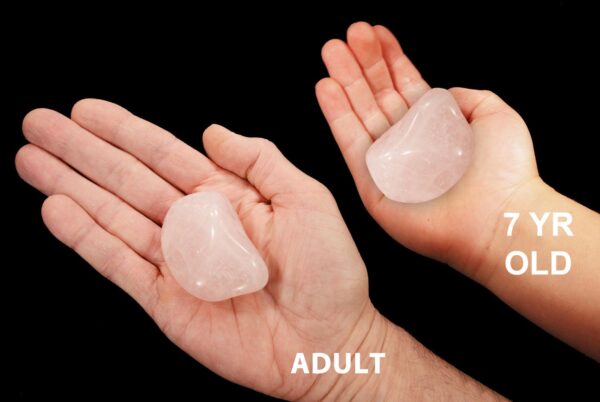 ROSE QUARTZ Crystal 1 1/2" 1-2 Oz Medium Tumbled Stone Polished Rock Mineral Heart Chakra Crystal Stone Natural Specimen Reiki