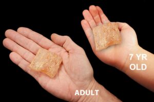 COPAL AMBER 2" Raw Rock Mineral Solar Plexus Chakra Crystal Stone Raw Natural Mineral Specimen Reiki