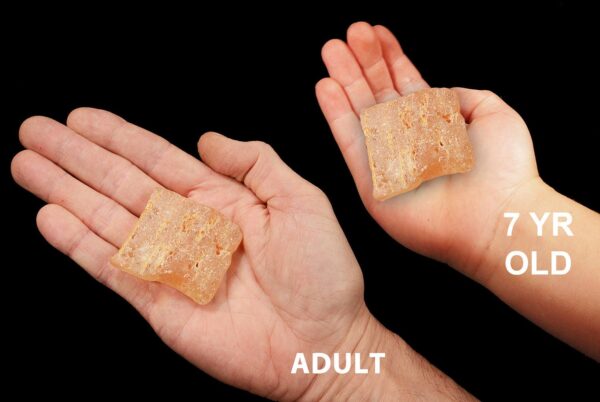 COPAL AMBER 2" Raw Rock Mineral Solar Plexus Chakra Crystal Stone Raw Natural Mineral Specimen Reiki