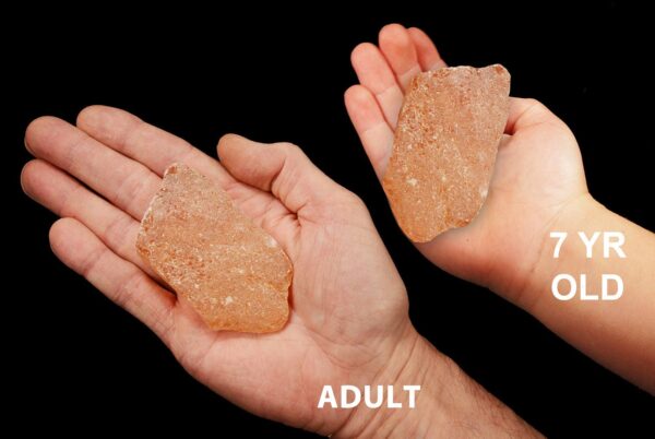 COPAL AMBER 3" Raw Rock Mineral Solar Plexus Chakra Crystal Stone Raw Natural Mineral Specimen Reiki