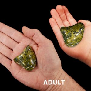 GREEN SERPENTINE 1 1/2" 2 Oz Large Tumbled Polished Rock Mineral Heart Chakra Crystal Stone Natural Specimen Reiki