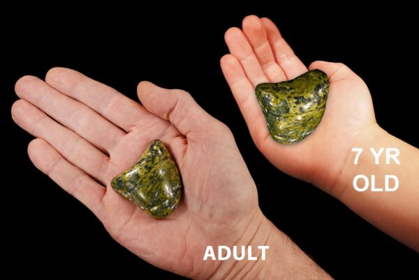 GREEN SERPENTINE 1 1/2" 2 Oz Large Tumbled Polished Rock Mineral Heart Chakra Crystal Stone Natural Specimen Reiki