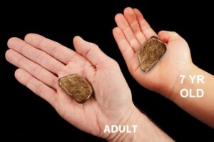 BRONZITE 1 3/4" 2-3 Oz Large Tumbled Stone Polished Rock Mineral Root Chakra Crystal Stone Natural Specimen Reiki