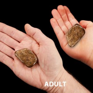 BRONZITE 1 3/4" 2-3 Oz Large Tumbled Stone Polished Rock Mineral Root Chakra Crystal Stone Natural Specimen Reiki
