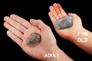 GRAY AGATE 2" 2-3 Oz Large Tumbled Stone Polished Rock Mineral Root Chakra Crystal Natural Mineral Specimen Reiki