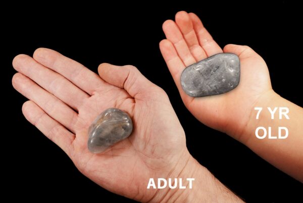 GRAY AGATE 2" 2-3 Oz Large Tumbled Stone Polished Rock Mineral Root Chakra Crystal Natural Mineral Specimen Reiki