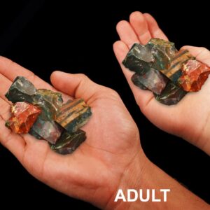 FANCY JASPER 1 1/4" Set of 6 Pieces Raw Rock Mineral Root Chakra Crystal Stone Natural Specimen Reiki