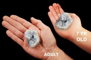 Celestite Crystal Clusters 2 1/2" 8-12 Oz Raw Rock Mineral Throat Chakra Crystal Stone Raw Natural Mineral Specimen