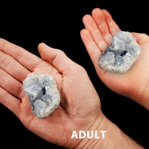 Celestite Crystal Clusters 2 1/2" 8-12 Oz Raw Rock Mineral Throat Chakra Crystal Stone Raw Natural Mineral Specimen
