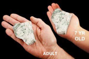 GREEN TREE AGATE 3" 8-12 Oz Large Raw Rock Mineral Heart Chakra Crystal Stone Natural Specimen Reiki