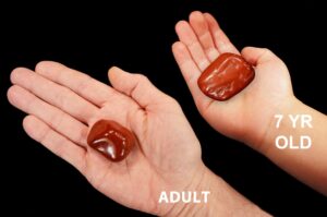 RED JASPER 1 1/2" Large Tumbled Stone Polished Rock Mineral Root Chakra Crystal Stone Natural Mineral Specimen Reiki