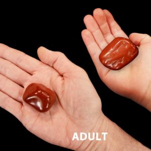 RED JASPER 1 1/2" Large Tumbled Stone Polished Rock Mineral Root Chakra Crystal Stone Natural Mineral Specimen Reiki