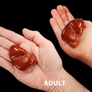 RED JASPER 2 1/2" 3-7 Oz Extra Large Tumbled Stone Polished Rock Mineral Root Chakra Crystal Natural Specimen Reiki Gemstone