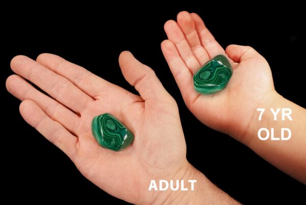 BIRDS EYE MALACHITE 1 1/4" A Grade Extra Large Tumbled Stone Polished Rock Mineral Heart Chakra Crystal Stone Reiki Specimen - Image 2