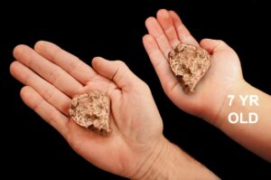 PURE COPPER NUGGET 2 1/2" 4-6 Oz Large Native Float Copper Raw Rock Mineral Root Chakra Crystal Stone Natural Specimen