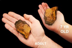 BLUE TIGERS EYE 3 1/2" 8-12 Oz Lapidary Rough Large Rock Mineral Third Eye Chakra Raw Crystal Stone Natural Specimen