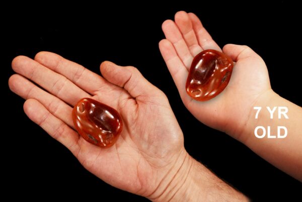 Red Agate 2" Large Tumbled Stone Polished Root Chakra Crystal Rock Mineral Specimen Natural Reiki Stone