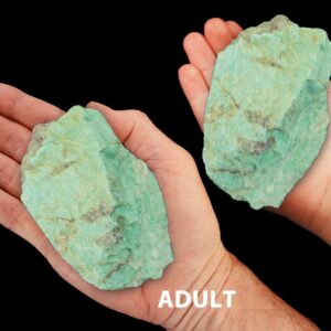 AMAZONITE Crystal 3" to 4" 9-14 Oz Lapidary Rough Extra Large Rock Mineral All Chakras Crystal Stone Raw Natural Specimen Reiki
