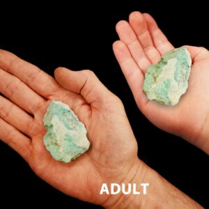 AMAZONITE Crystal 1" to 2" 2-4 Oz Rough Rock Mineral All Chakras Raw Crystal Stone Natural Specimen Reiki