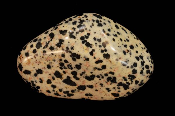 DALMATIAN JASPER 2" Large Tumbled Stone Polished Rock Mineral Root Chakra Crystal Stone Natural Specimen Reiki - Image 4