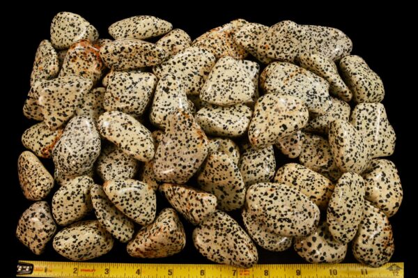 DALMATIAN JASPER 2" Large Tumbled Stone Polished Rock Mineral Root Chakra Crystal Stone Natural Specimen Reiki - Image 3