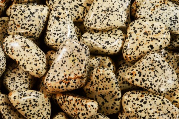 DALMATIAN JASPER 2" Large Tumbled Stone Polished Rock Mineral Root Chakra Crystal Stone Natural Specimen Reiki - Image 2