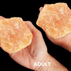 ORANGE CALCITE 4" to 5" 2 Lb Untreated Natural Large Rock Mineral Raw Sacral Chakra Crystal Stone Specimen