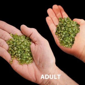 PERIDOT Crystal 1/4" 2 Ounce Lot Polished Rock Mineral Heart Chakra Crystal Stone Raw Reiki Stone Mineral Specimen