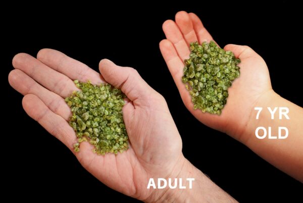 PERIDOT Crystal 1/4" 2 Ounce Lot Polished Rock Mineral Heart Chakra Crystal Stone Raw Reiki Stone Mineral Specimen