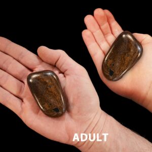 BRONZITE 2 1/2" 4-6 Oz Extra Large Tumbled Stone Polished Rock Mineral Root Chakra Healing Crystal Stone Natural Specimen Reiki