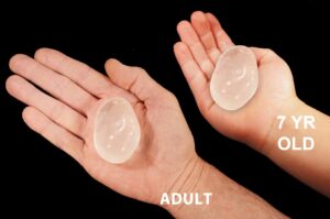 QUARTZ Crystal 2" Extra Large Polished Tumbled Rock Mineral All Chakras Crystal Stone Natural Mineral Specimen Reiki