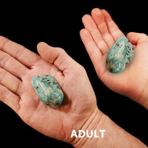 AMAZONITE Crystal 1 1/2" Polished Tumbled Rock Mineral All Chakras Crystal Stone Natural Mineral Specimen Reiki Stone