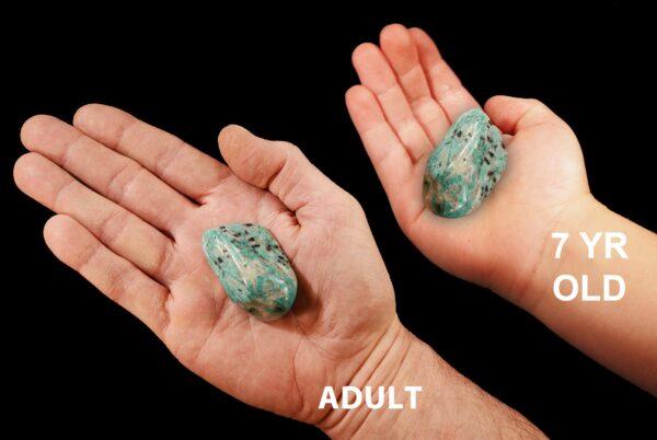AMAZONITE Crystal 1 1/2" Polished Tumbled Rock Mineral All Chakras Crystal Stone Natural Mineral Specimen Reiki Stone