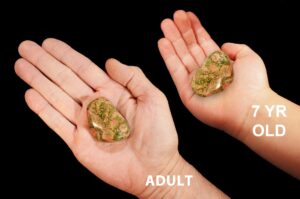 UNAKITE JASPER 1 1/2" 3 Oz Large Tumbled Polished Heart Chakra Crystal Rock Mineral Specimen Reiki Metaphysical
