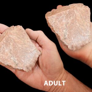 PERTHITE 4" 1-2 Lb Feldspar Rock Mineral All Chakras Crystal Stone Natural Raw Specimen Reiki