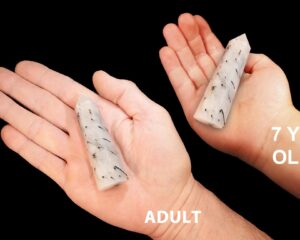 BLACK TOURMALINE QUARTZ Crystal Wand 3" 2-4 Oz Polished Rock Mineral Multi Chakra Crystal Raw Crystal Stone