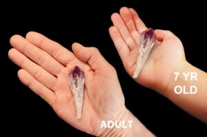 AMETHYST Crystal 3" Dragon Tooth Tower Raw Rock Mineral Crown Chakra Crystal Wand Stone Natural Specimen Reiki