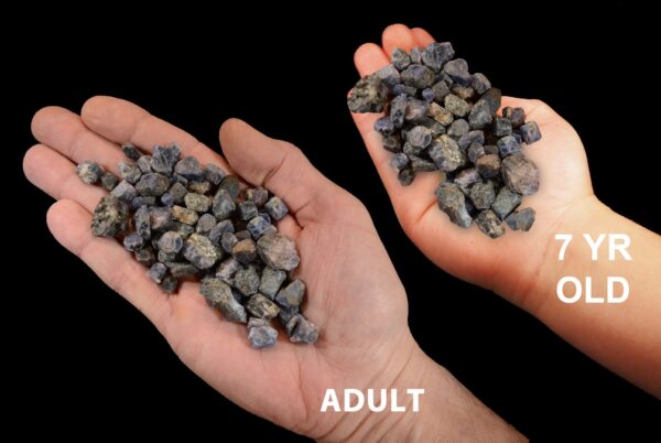 SAPPHIRE Crystal 5/8" 6 Oz Bag Kenya Rough Precious Gemstone Rock Mineral Raw Throat Chakra Crystal Stone Reiki Specimen
