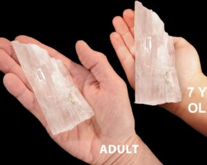 KERNITE Crystal 4" 8-12 Oz Raw Rock Mineral Crown Chakra Healing Crystal Stone Raw Natural Specimen Reiki