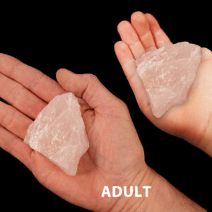 ROSE QUARTZ Crystal 3" 8-12 Oz Heart Chakra Crystal Rock Mineral Specimen Crystal Chakra Stone Reiki Gemstones
