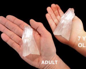 KERNITE CRYTAL 2 1/2" 2-4 Oz Raw Rock Mineral Crown Chakra Crystal Stone Rough Natural Specimen Reiki