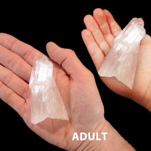 KERNITE CRYTAL 2 1/2" 2-4 Oz Raw Rock Mineral Crown Chakra Crystal Stone Rough Natural Specimen Reiki