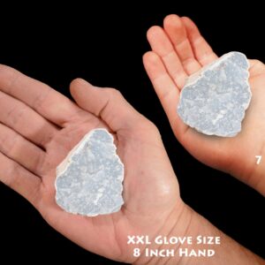 ANGELITE 2 1/2" 4-7 Oz Anhydrite Large Rough Rock Mineral Throat Chakra Crystal Stone Raw Natural Specimen