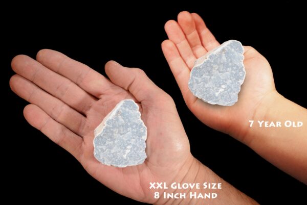 ANGELITE 2 1/2" 4-7 Oz Anhydrite Large Rough Rock Mineral Throat Chakra Crystal Stone Raw Natural Specimen