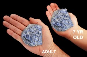 BLUE QUARTZ 2 1/2" 4-7 Oz Lapidary Rough Large Rock Mineral Throat Chakra Crystal Stone Raw Natural Specimen Reiki