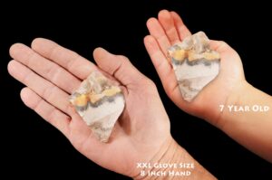 CRAZY LACE AGATE 2 1/2" 4-7 Oz Raw Rock Mineral Third Eye Chakra Crystal Stone Rough Natural Specimen Reiki