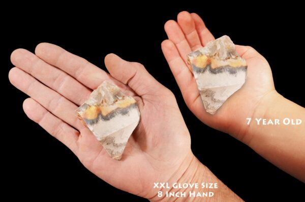 CRAZY LACE AGATE 2 1/2" 4-7 Oz Raw Rock Mineral Third Eye Chakra Crystal Stone Rough Natural Specimen Reiki