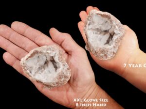 SONARO GEODE 3" 5-8 Oz Quartz Crystal Rock Mineral Crown Chakra Crystal Stone Natural Raw Mineral Specimen Reiki
