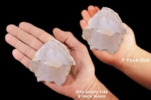 PURPLE AGATE 3 1/2" 8-12 Oz Rock Mineral Crown Chakra Crystal Stone Natural Raw Mineral Specimen Reiki