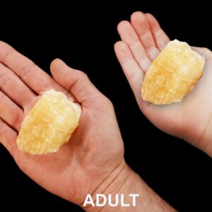 PINEAPPLE CALCITE 2 1/2" 4-7 Oz Raw Rock Mineral Solar Plexus Chakra Crystal Stone Raw Natural Specimen Reiki